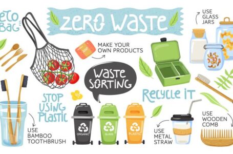 Efficient Waste Reduction Techniques For Your Home