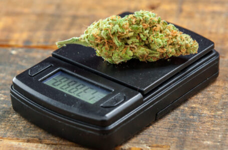 How Many Grams is a Half of Weed and Other Measuring Details You Should Know