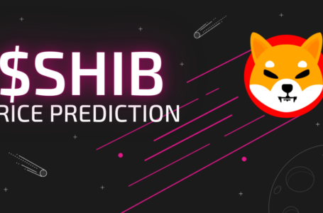 With shib price prediction Next Age Bitcoin Predictions Are Changing the Scenario