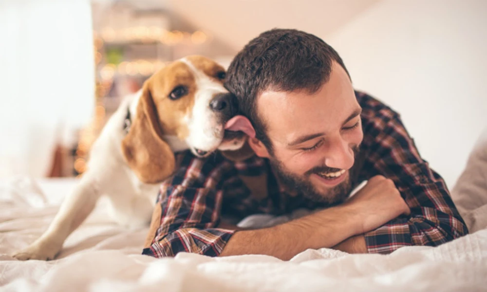 The Importance Of Spay And Neuter Services In Veterinary Care